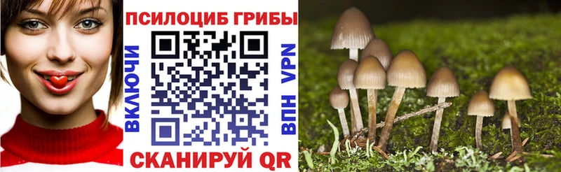 Галлюциногенные грибы мухоморы закладки МЕГА tor Богучар